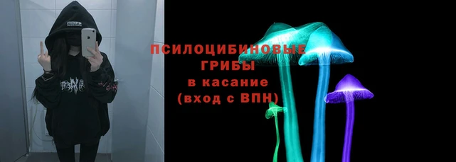 молекула духа Алексин