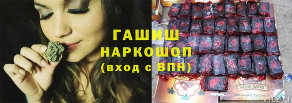 молекула духа Алексин